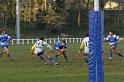 Rugby 293